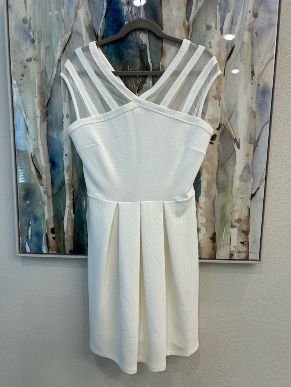 Enfocus Studio Ivory Mesh-Panel Fit & Flare Mini Dress